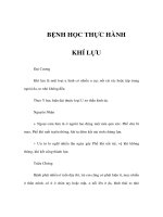 BỆNH HỌC THỰC HÀNH - KHÍ LỰU pps
