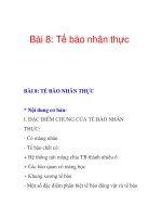 Bài 8: Tế bào nhân thực doc