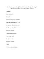 Cấp Giấy chứng nhận kiểm định An toàn kỹ thuật và Bảo vệ môi trường đối với xe máy chuyên dùng có tham gia giao thông đường bộ pps