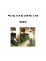 Những vấn đề cần lưu ý khi nuôi bò doc