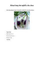 Khoai lang tím nghiền sữa chua potx