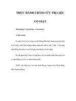 THỰC HÀNH CHÂM CỨU TRỊ LIỆU - CO GIẬT pot