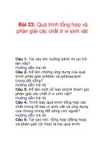 Bài 23: Quá trình tổng hợp và phân giải các chất ở vi sinh vật pptx