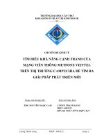 Chuyên đề kinh tế đề tài mạng viễn thông Metfone Viettel potx