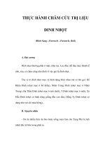 THỰC HÀNH CHÂM CỨU TRỊ LIỆU - ĐINH NHỌT potx