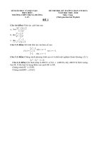 de thi HKII lop 11(Co dap an)