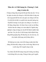 Màu sắc và Chất lượng In- Chương I: Ánh sáng và màu sắc- P1 pot