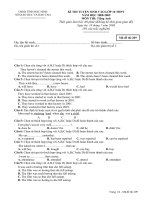 DE VAO 10 TIENG ANH 2008