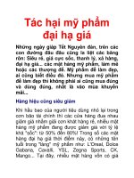 Tác hại mỹ phẩm đại hạ giá pdf