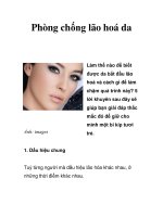 Phòng chống lão hoá da pps
