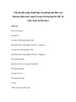 Cấp lại giấy phép thành lập văn phòng đại diện của thương nhân nước ngoài (trong trường hợp bị mất, bị rách, hoặc bị tiêu hủy) pptx