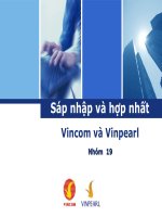 Thuyết trình Sáp nhập và hợp nhất Vincom và Vinpearl