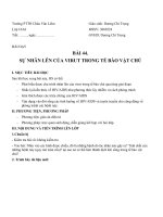 Bai 44. sự nhân lên của virut trong tế bào chủ