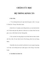 CHÂM CỨU HỌC - HỆ THỐNG KINH CÂN pptx