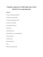 Cấp phép sử dụng tần số và thiết bị phát sóng vô tuyến điện đối với Các mạng dùng riêng potx