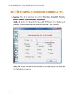 BÀI TẬP CHƯƠNG 4: WINDOWS CONTROLS (TT) docx