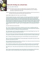 Chữa sốt rét bằng các vị thuốc Nam pdf