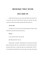 BỆNH HỌC THỰC HÀNH - HẦU KHUẨN doc
