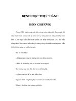 BỆNH HỌC THỰC HÀNH - HỖN CHƯỚNG ppsx