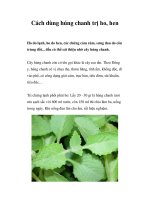 Cách dùng húng chanh trị ho, hen ppt
