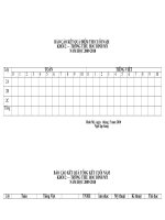 mau ban tong ket cuoi nam khoi 2