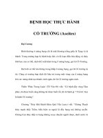 BỆNH HỌC THỰC HÀNH - CỔ TRƯỚNG (Ascites) pot