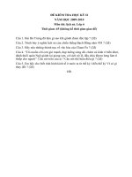 Đề thi Học kyg II - Lịch sử 6