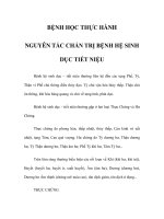 BỆNH HỌC THỰC HÀNH - NGUYÊN TẮC CHẨN TRỊ BỆNH HỆ SINH DỤC TIẾT NIỆU ppsx