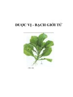 DUỢC VỊ - BẠCH GIỚI TỬ doc