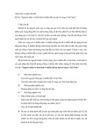 Tiểu luận ô nhiễm đất pptx