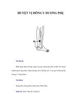 HUYỆT VỊ ĐÔNG Y DƯƠNG PHỤ docx