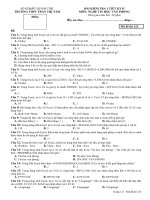 Đề KT lý thuyết Excel mã 123