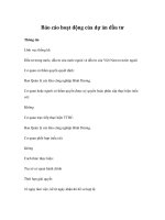 Báo cáo hoạt động của dự án đầu tư docx