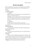 Ngộ độc cấp Quinine pdf