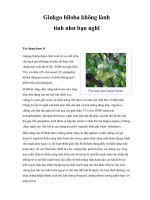 Ginkgo biloba không lành tính như bạn nghĩ pptx