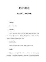 DƯỢC HỌC - AN TỨC HƯƠNG pot