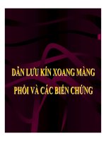 DẪN LƯU KÍN XOANG MÀNG PHỔI VÀ CÁC BIẾN CHỨNG (PHẦN 1) ppt