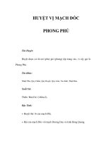 HUYỆT VỊ MẠCH ĐỐC - PHONG PHỦ pot