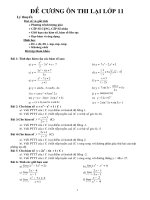 DE CUONG ON THI LAI LOP 11