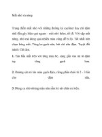 Mắt nhỏ và nông ppsx