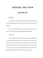 BỆNH HỌC THỰC HÀNH - QUÁNG GÀ potx