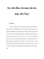 Sở, chè dầu, trà mai, du trà, mạy slở (Tày) pot