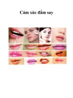 Cảm xúc đắm say pptx