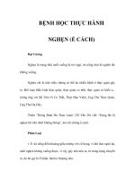 BỆNH HỌC THỰC HÀNH - NGHẸN (Ế CÁCH) pptx