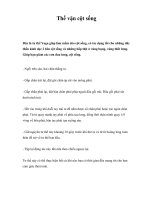 Thế vặn cột sống ppsx