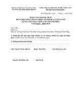 Báo cáo thành tích CSTĐ/GVG