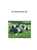 Kỹ thuật nuôi bò sữa ppsx