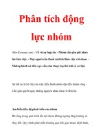 Phân tích động lực nhóm pps