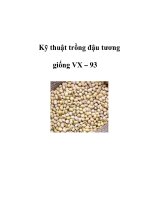 Kỹ thuật trồng đậu tương giống VX – 93 pptx