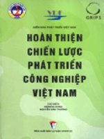 Hoàn Thiện Chiến Lược Phát Triển Công Nghiệp Việt Nam - Mở Đầu docx